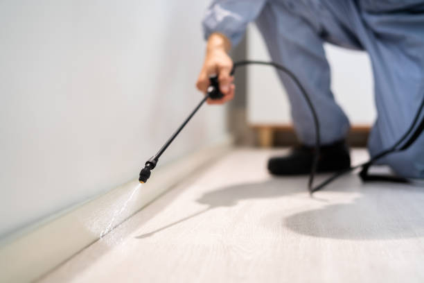 Licensed Termite Control service in Rio Bravo, TX - Show Me Pest Control