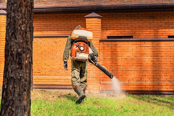 Bed Bug Clearance Verification and Documentation in Rio Bravo